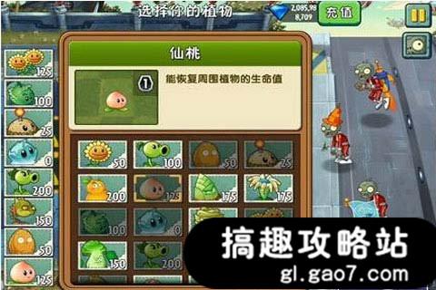 这颗仙桃可以让边上的植物恢复生命值,也真算的上仙桃这个称号了.