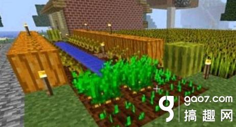 我的世界小麦种子怎么得 [图]图片1