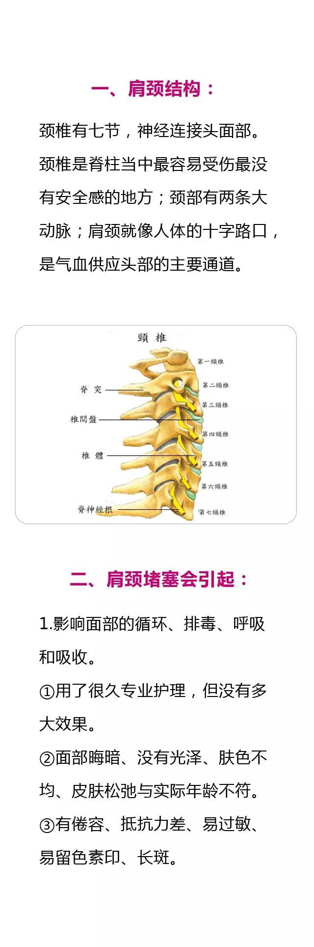 「肩颈」是累积毒素最多的部位,一旦堵塞会引发130种血管疾病!