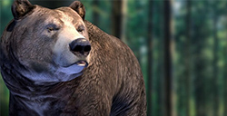 《模拟狗熊》制作人继续支持更新或将推出主机版！
