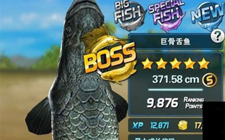 《钓鱼发烧友》boss5星巨骨舌鱼属性详情