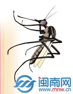 夏天穿什么衣服不容易被蚊子咬 wKgKx1N8Dw2AVJdyAAA7wes01vk792.jpg?w=283&h=363