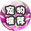 寵物推薦