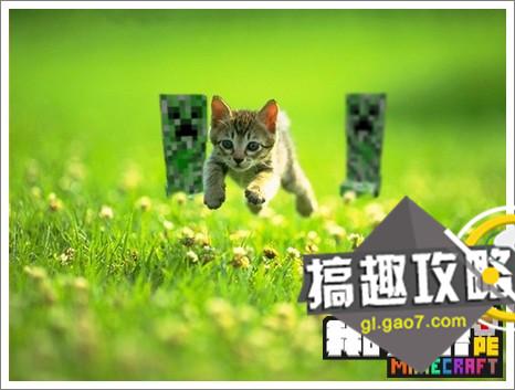我的世界怎么驯服豹猫我的世界驯服豹猫教程 Minecraft我的世界专区 搞趣网 我的世界怎么驯服豹猫我的世界驯服豹猫教程 Minecraft我的世界专区 搞趣网