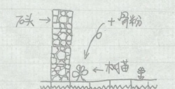 我的世界如何生存手绘生存技巧攻略