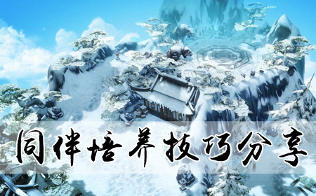 同伴培养技巧分享